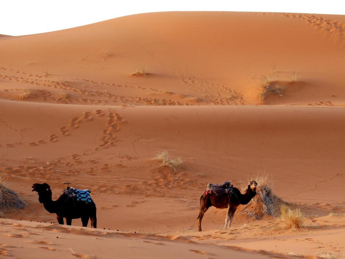La Vallee Des Dunes - Auberge, Bivouacs Et Excursions Мерзуга Экстерьер фото